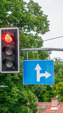 Arka planda ağaçlar olan trafik ışıkları