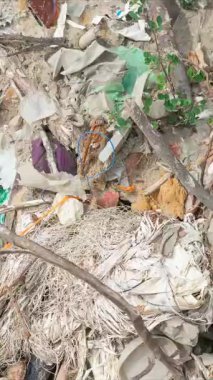 Vahşi çöp yığını. Kalan camlar, ormandaki plastikler.