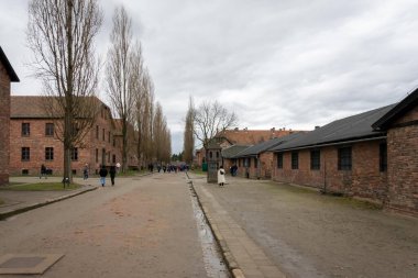 Oswiecim, Polonya - 28 Kasım 2024 - Alman Auschwitz imha kampına kayıtlı