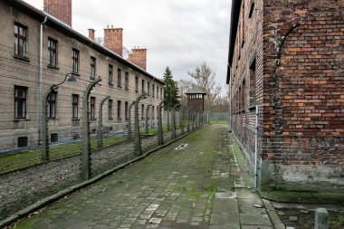 Oswiecim, Polonya - 28 Kasım 2024 - Alman Auschwitz imha kampına kayıtlı