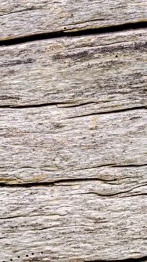 Görünür detayları olan eski kırık ahşap