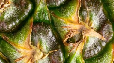 Yeşil ananas kabuğu ve görünür detaylar. arkaplan
