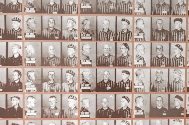 Auschwitz, Polonya - 28 Kasım 2025 - Auschwitz toplama kampından tutsakların portreleri