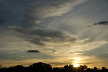 Ormanın uzun yaprak döken ağaçlarının arkasında gün batımı. Güneş ufku sıcak, altın ışıkla kaplıyor. Dönen bulutlar gerçek bir gösteri sunuyor..