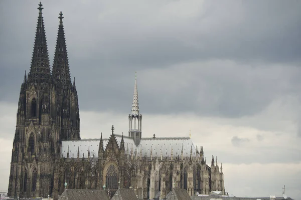 Kölnkatedralen Sidovy Katedralen Reser Sig Högt Över Schierfers Tak Byggnader — Stockfoto