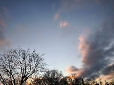 Ağaçların arkasında gün doğumu