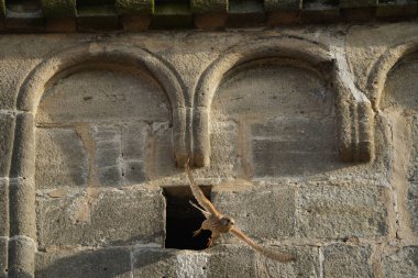 Gözlemcilerin kafalarının üzerinde, güçlü kanatları olan bir kerkenez havalanıyor. Sıcak akşam ışığı, tarihi kilise kulesini hoş bir ışıkla yıkıyor..