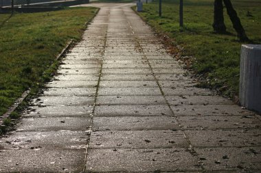 Yağmurdan sonra parkta güneşli bir patika.