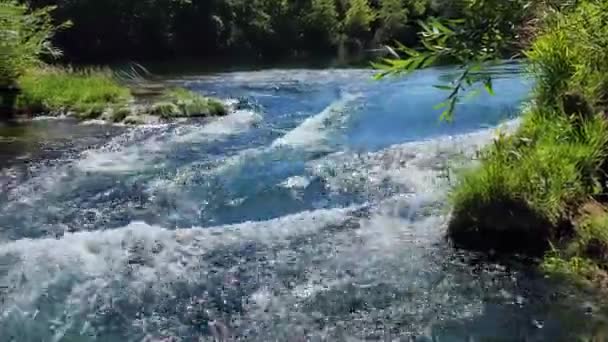 Río Azul Claro Hierba Verde Día Soleado Brillante Del Verano — Vídeos de Stock