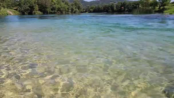 Jasnoniebieska Rzeka Zielone Drzewa Trawa Słoneczny Letni Dzień — Wideo stockowe