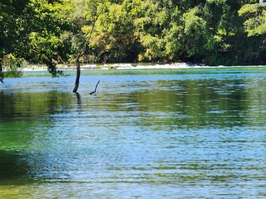 Açık mavi nehir, yeşil ağaçlar, ve güneşli bir yaz gününde çimenler..