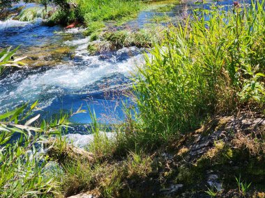 Açık mavi nehir, yeşil ağaçlar, ve güneşli bir yaz gününde çimenler..