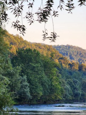 Açık mavi nehir, yeşil ağaçlar, ve güneşli bir yaz gününde çimenler..