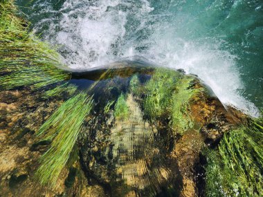 Açık mavi nehir, yeşil ağaçlar, ve güneşli bir yaz gününde çimenler..