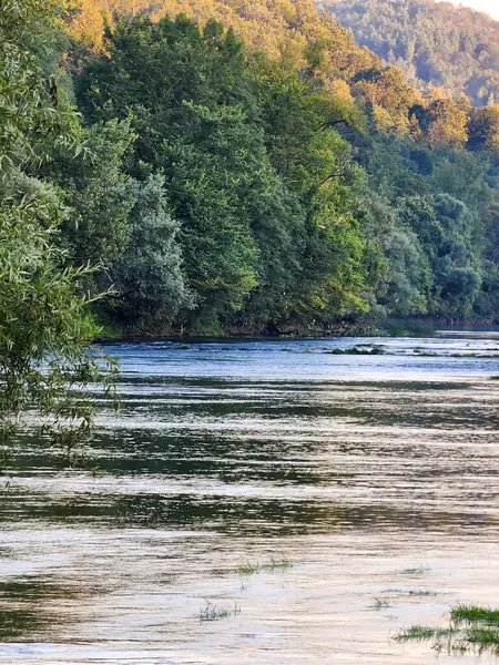 Açık mavi nehir, yeşil ağaçlar, ve güneşli bir yaz gününde çimenler..