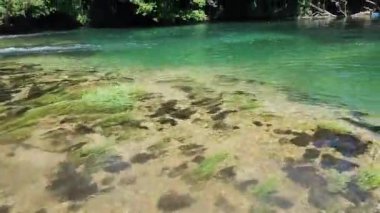 Nehir yeşil sularda akıyor