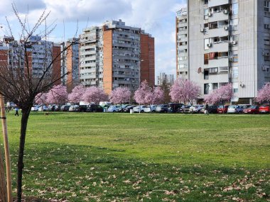 Parkta güzel bir bahar