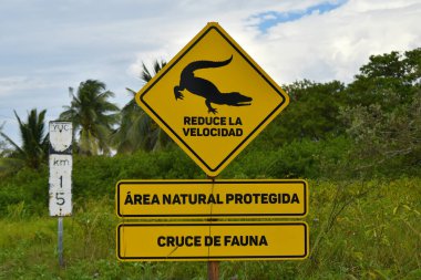 Trafik işaretleri, korunan doğal alandan yavaş vahşi yaşam geçişi, sarı timsah işareti, Progreso, Meksika.