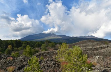 Etna volkanı, dumanı tüten volkan, büyüyen bitki örtüsüyle lav, doğayı çevreleyen Sicilya, İtalya, Avrupa.