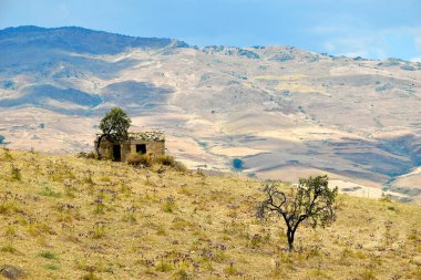 Eski evle Sicilya manzarası, devedikeni ile otlak, Sicilya, İtalya, Avrupa