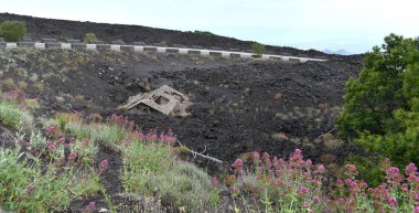 Etna Dağı yanardağının eteklerindeki evle kaplı, çevresindeki bitki örtüsü, Sicilya, İtalya, Avrupa