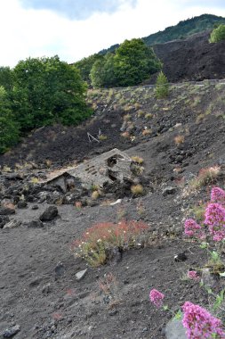 Etna Dağı yanardağının eteklerindeki evle kaplı, çevresindeki bitki örtüsü, Sicilya, İtalya, Avrupa