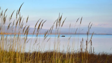 Göldeki bir teknede balıkçı. Vahşi doğada dinleniyor. Balıkçılık yaparken balıkçıyla birlikte gölde balıkçı teknesi. Önplanda uzun kuru çimenler.
