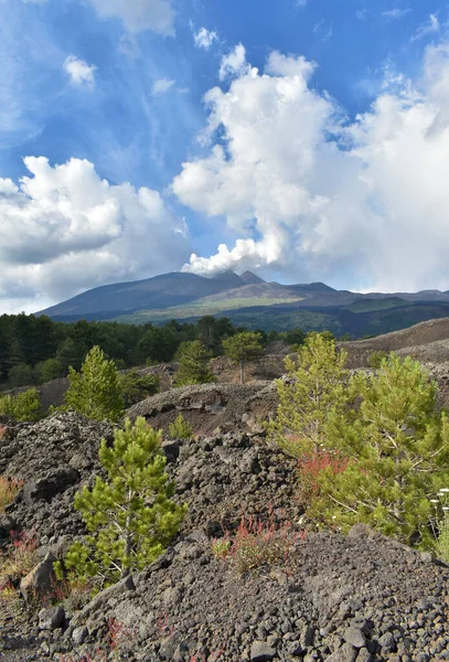 Wulkan Etna Palenie Wulkanu Lawa Rosnącą Roślinnością Otaczająca Przyrodę Sycylia — Zdjęcie stockowe