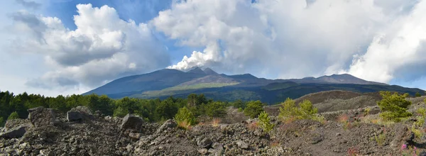 Volcán Etna Volcán Humeante Lava Con Vegetación Creciente Naturaleza Circundante —  Fotos de Stock
