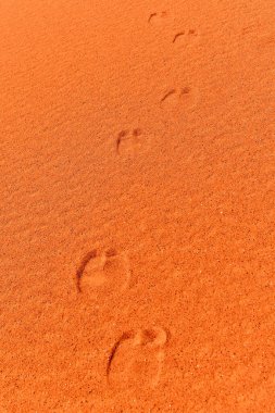 Çölde turuncu kum. Deve izleri. Kumda hayvan izi var. Cezayir, Afrika 'da tatil ve seyahat