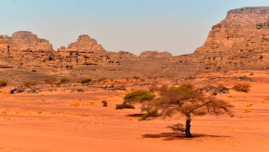 Tadrart Rouge 'da kaya oluşumları, Tassili N' Ajjer Ulusal Parkı. Sahra Çölü, portakal kumu ve kayalar, çöl ağaçları. Tatiller ve Cezayir 'de seyahat. Sahra, Cezayir, Afrika.