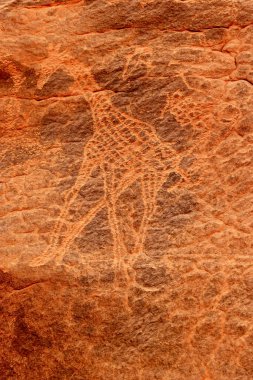 Zürafalar - tarih öncesi petroglifler, Tadrart Rouge 'da kaya sanatı, Tadrart Akkak, Sahara, Cezayir, dikey manzara, Afrika
