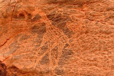 Zürafalar - tarih öncesi petroglifler, Tadrart Rouge 'da kaya sanatı, Tadrart Akkak, Sahara, Cezayir, yatay manzara, Afrika