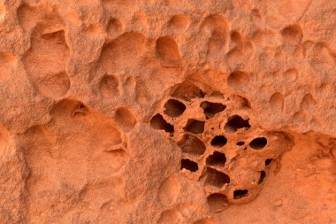 Yıpranmış kumtaşı, kırmızı kaya duvar, yakın plan, Sahara, Afrika