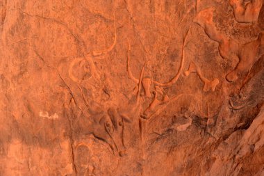 Tegharghart 'ta, Djanet, Tassili nAjjer Ulusal Parkı, Cezayir, Sahara, Afrika yakınlarındaki ağlayan bir ineğin kayası.