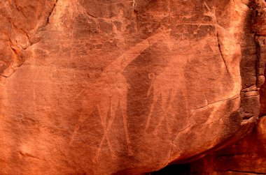 Zürafalar - tarih öncesi petroglifler, Tadrart Rouge 'da kaya sanatı, Tadrart Akkak, Sahara, Cezayir, yatay manzara, Afrika