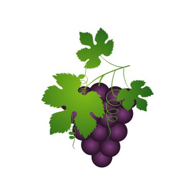 Üzüm Meyvesi Simgesi Vektör Logo Şablonu