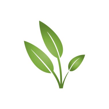 Doğa Yeşil Simge Vektör Logo Şablonunu Bırakıyor