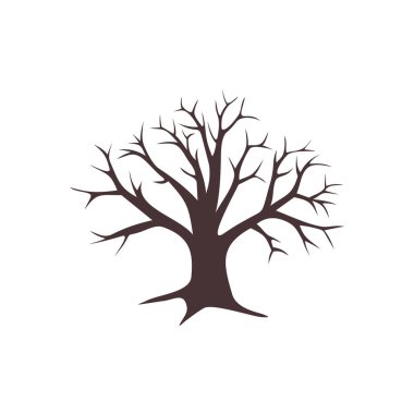 Dallar Meşe Ağacı Logo Şablonu Çizim Tasarımı