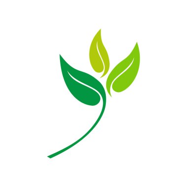 Dekoratif Yeşil Yaprak Vektör Logo Şablonu