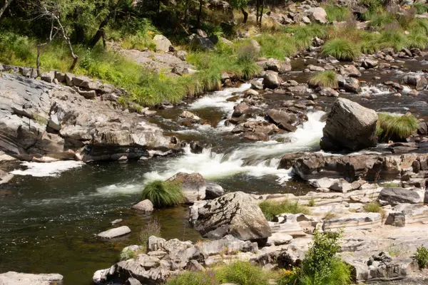 Nehrin ayrıntıları kayalıklarda yüzer.