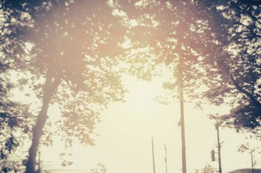 Bulanık yeşil doğal arka plan Görüntü Parkı, açık havada yol açık yeşillik bokeh arka planda, bahar yaz mevsiminde yeşil alan mevsimi dağıldı. Çayır sahnesi, çevre günü.