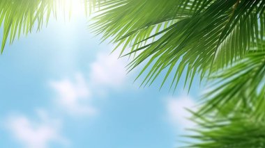 Paskalya gününden önce İsa 'yı karşılamak için Palm Sunday ve Paskalya günü. Tahta Haç ve beyaz arka planda avuçlar Paskalya sembolü konsepti, Dünya Çevre Günü Yeşil Hindistan cevizi yaprakları