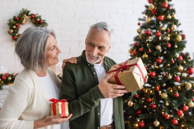 Gülümseyen olgun kadın Noel hediyesini tutuyor ve süslü çam ağacının yanındaki neşeli kocaya bakıyor.