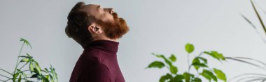 Side view of bearded model in turtleneck standing behind plants isolated on grey, banner  clipart