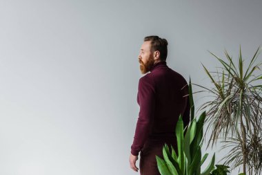Side view of stylish man in sweater standing near plants isolated on grey with copy space clipart