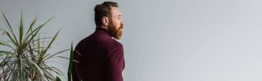 Burgundy Jumper giymiş sakallı bir adamın gri pankartta ıssız bitkilerin yanından bakışları. 