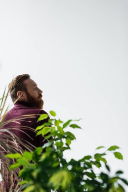 Side view of stylish bearded man standing near blurred plants isolated on grey  clipart