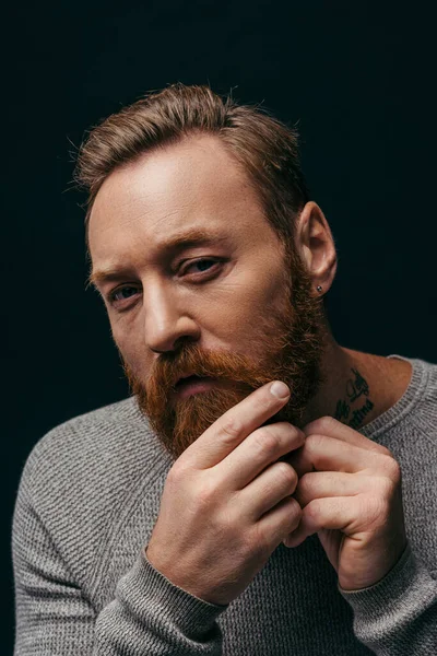Portrait of stylish tattooed man touching beard and looking at camera isolated on black