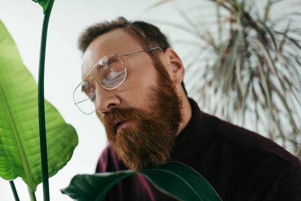 Vousatý Muž Brýlích Pózující Zavřenýma Očima Blízkosti Zelených Rostlin Šedi — Stock fotografie